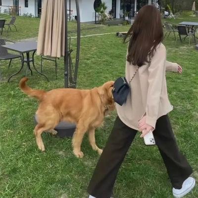 蚊子海岸第二季