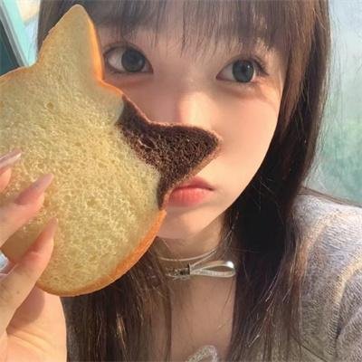 追星星的人第三季